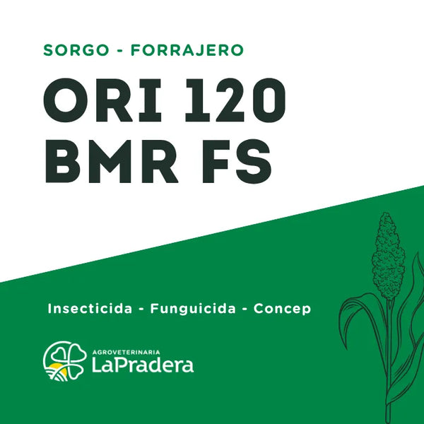 Sorgo Forrajero ORI 120 BMR FS