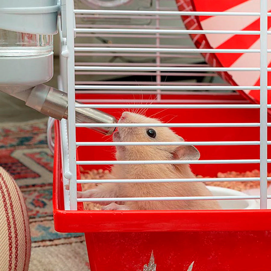 Casa para Hamster Coney Island Ferplast