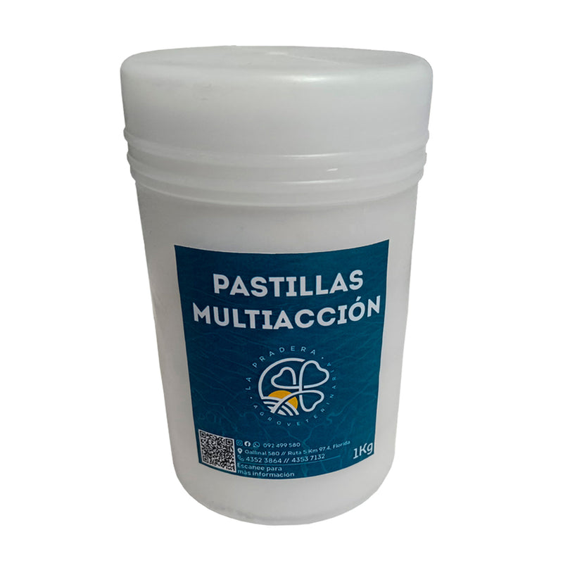 Pastillas Multiacción para Piscinas (x5) 1 KG