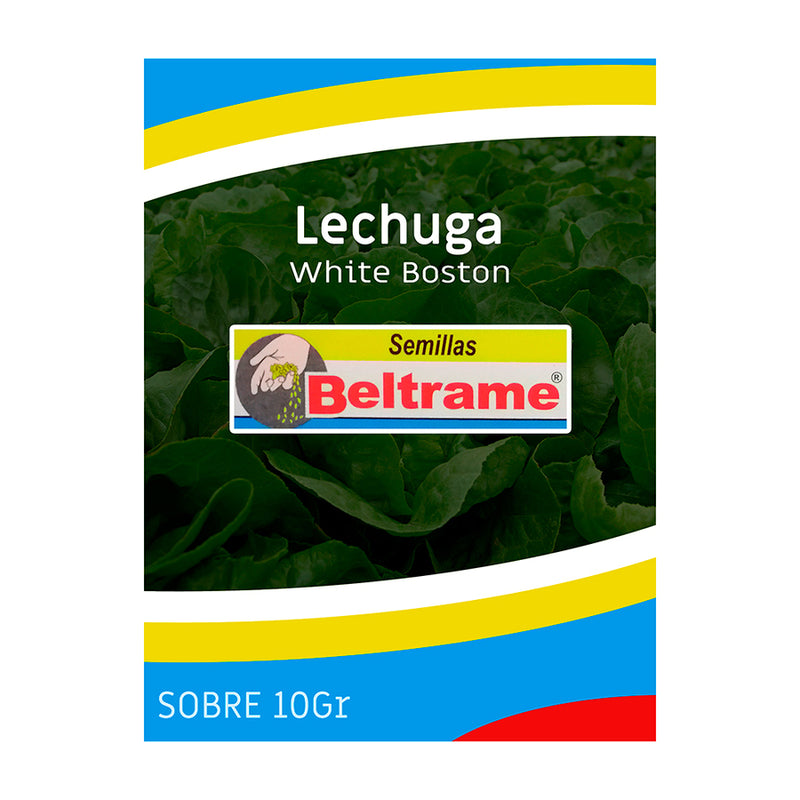 Semilla Lechuga White Boston 10 G