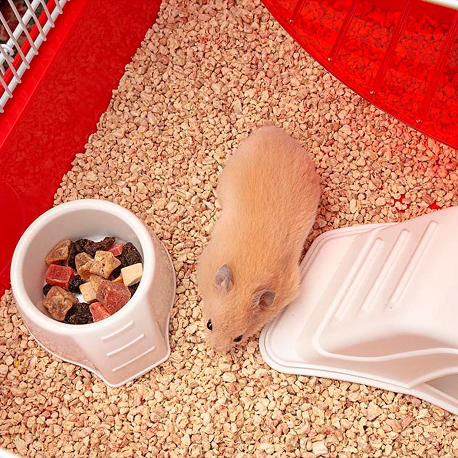 Casa para Hamster Coney Island Ferplast
