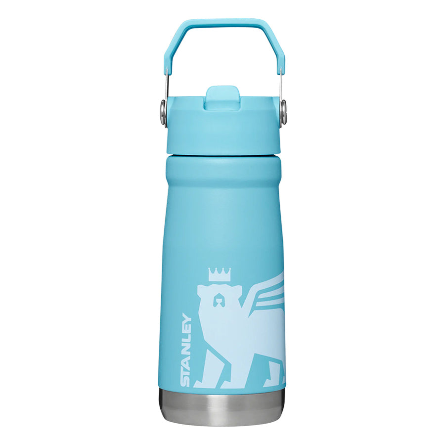 Botella de Agua Stanley Flip Straw 500 ml