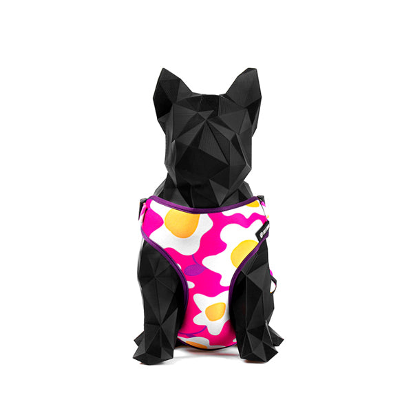 Pretal para Perro Air Flor do Povo
