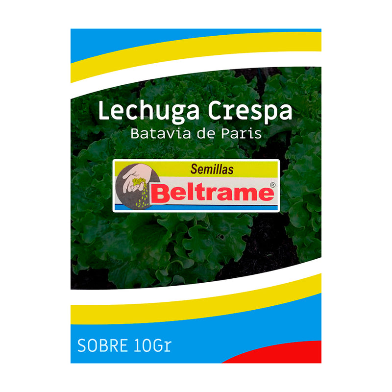Semilla Lechuga Crespa Batavia Paris Sobre 10 G