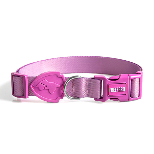 Collar para Perro Lilac