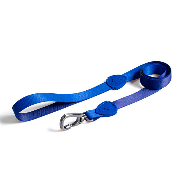 Correa Tradicional 1.2m Total Blue