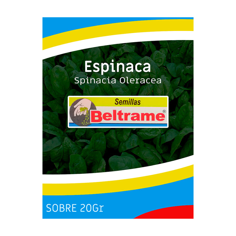Semilla Espinaca 20 G