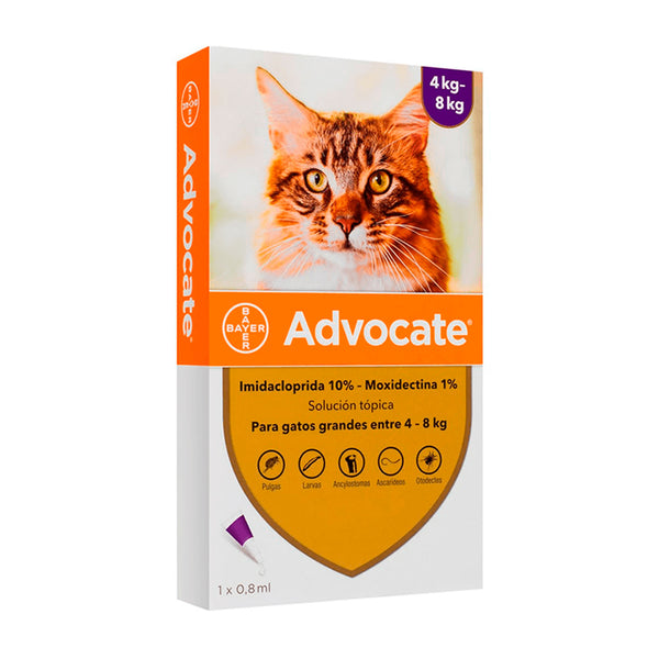 Pipeta Advocate para Gatos de 4 a 8 KG