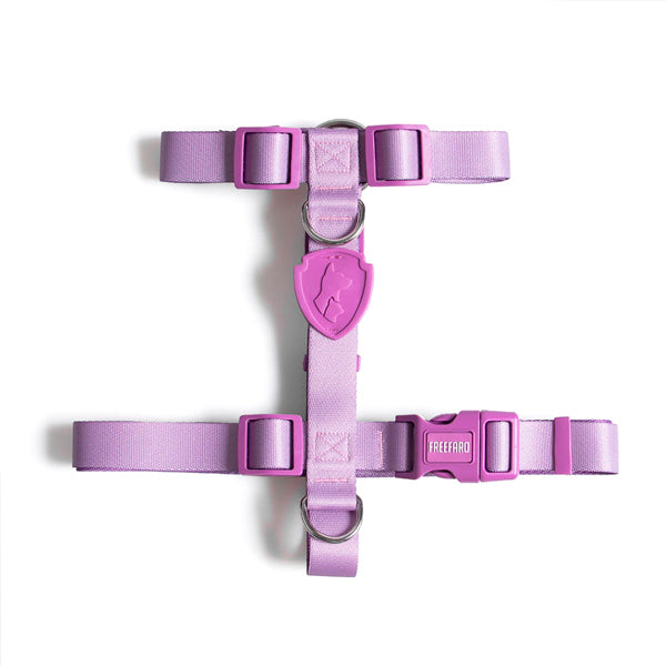 Pretal H Lilac
