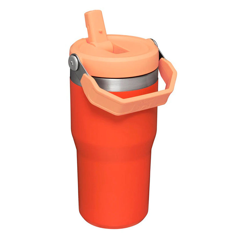 Vaso Stanley Flip Straw Tumbler 600ml