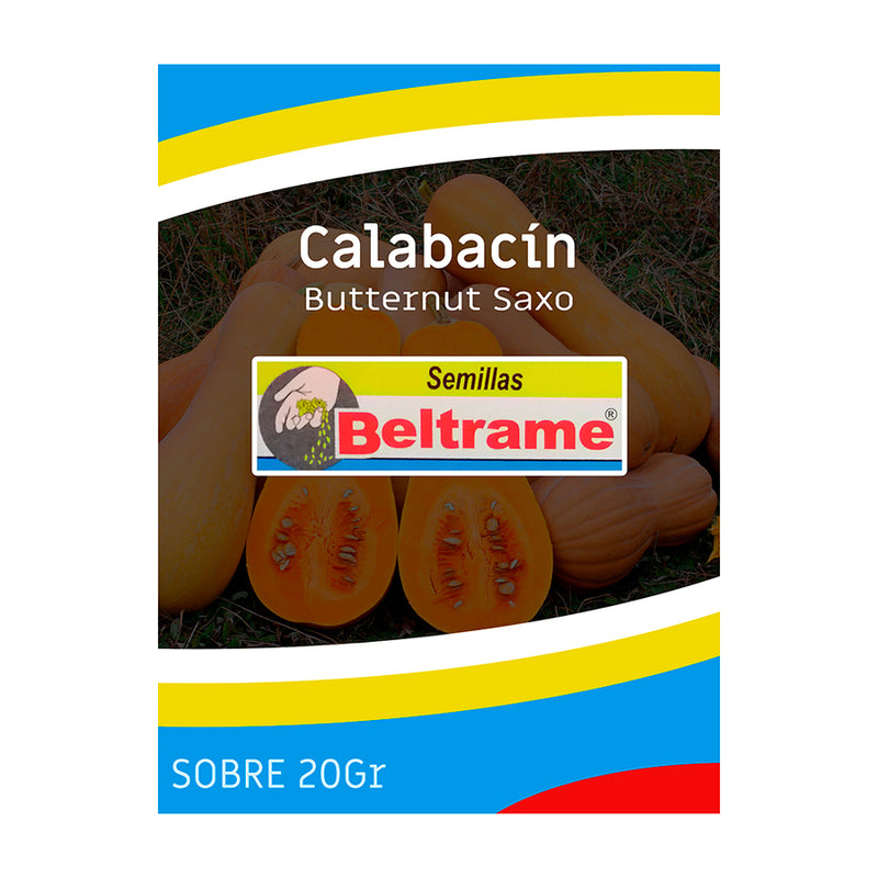 Semilla Zapallo Butternut Saxo 20 G