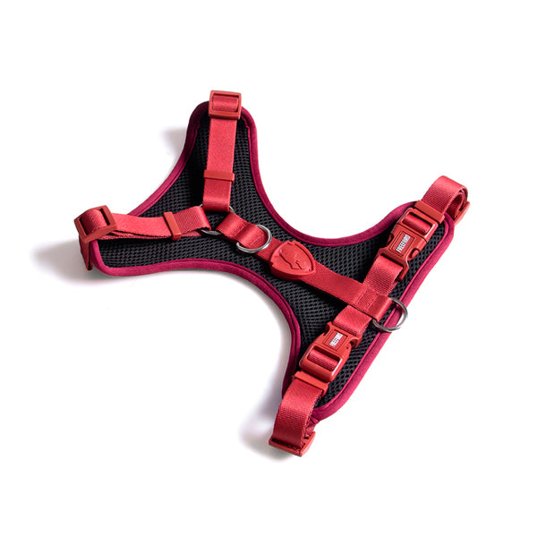 Pretal para Perros Air Pepper