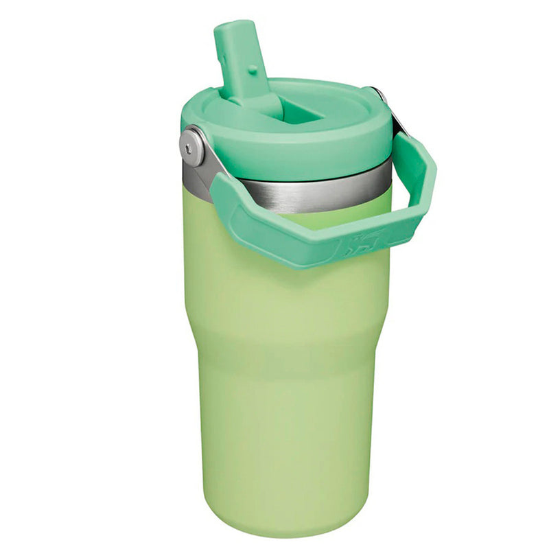 Vaso Stanley Flip Straw Tumbler 600ml