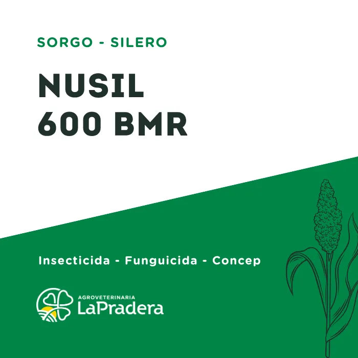 Sorgo Silero Nusil 600 BMR