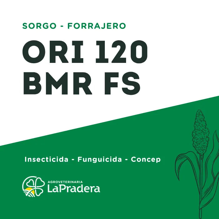 Sorgo Forrajero ORI 120 BMR FS