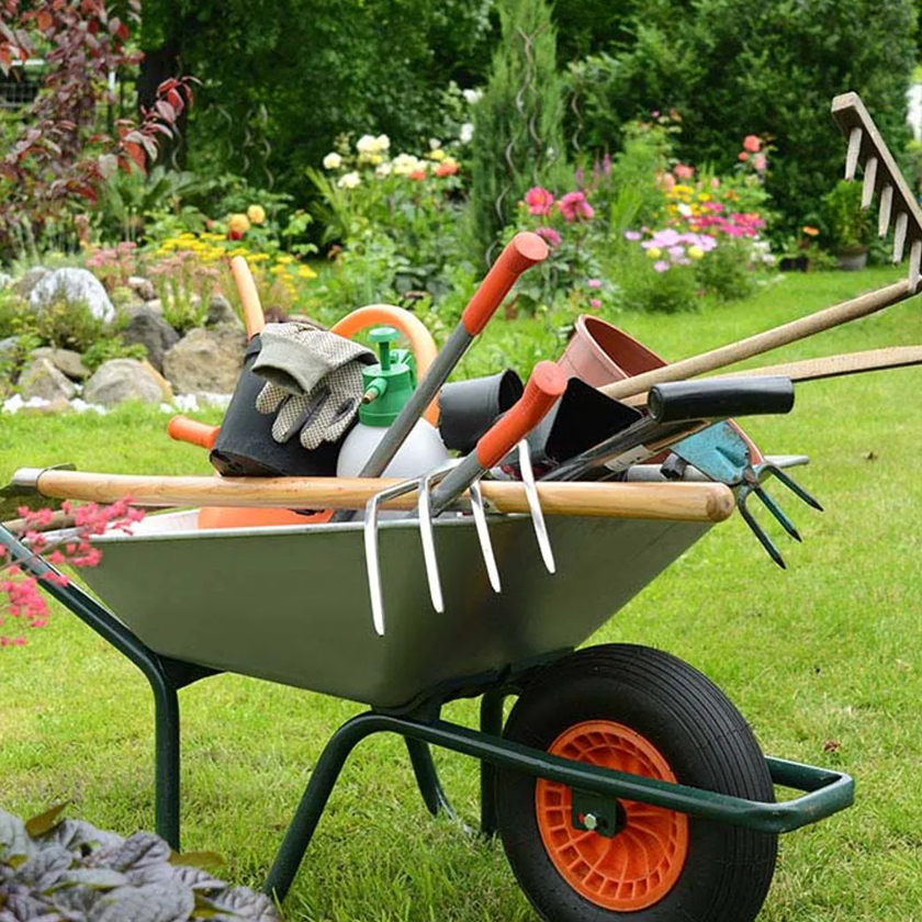 JARDIN