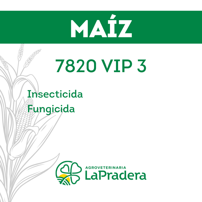 Maíz 7820 VIPTERA 3