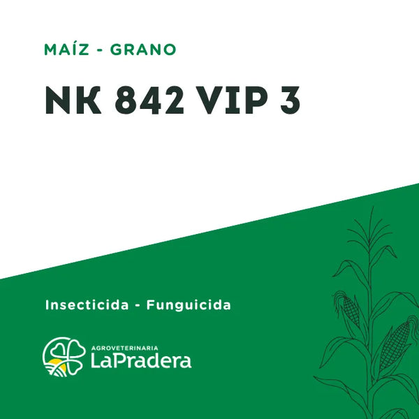 Maíz NK 842 VIP 3