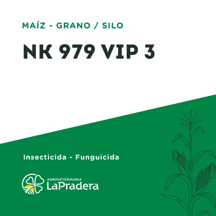 Maíz NK 979 VIP 3
