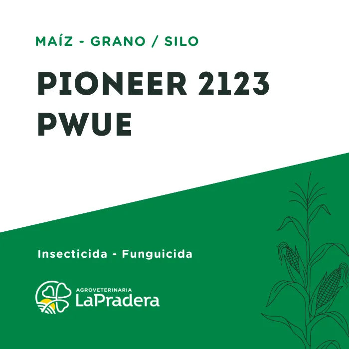 Maíz PIONEER 2123 PWUE