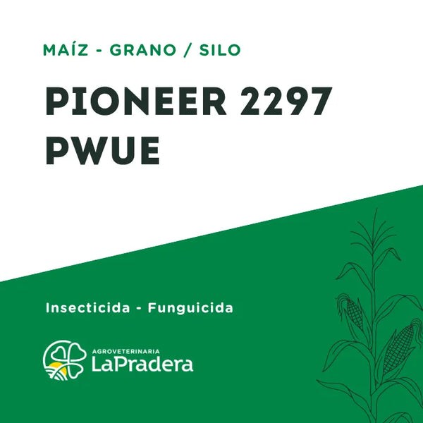Maíz PIONEER 2297 PWUE