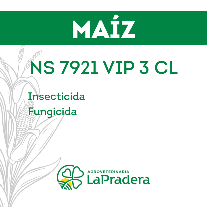 Maíz NS 7921 VIPTERA 3 CL