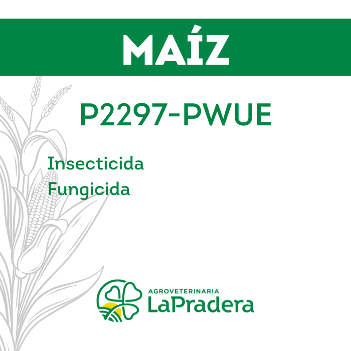 Maíz P2297-PWUE