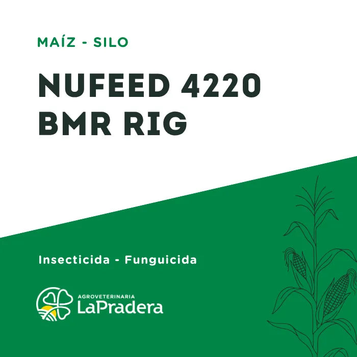 Maíz NUFEED 4220 BMR RIG