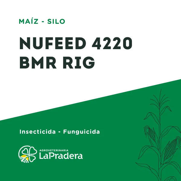 Maíz NUFEED 4220 BMR RIG