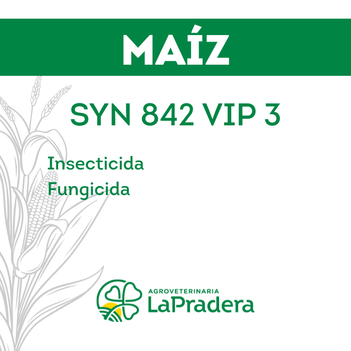 Maíz SYN 842 VIPTERA 3