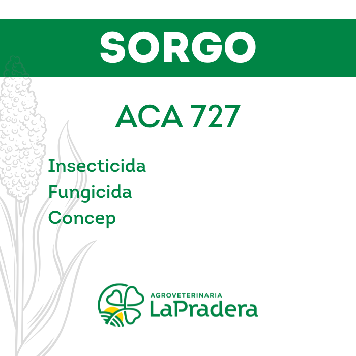 Sorgo ACA 727