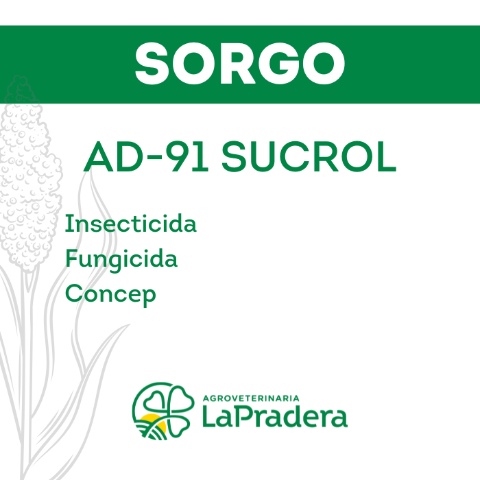 Sorgo AD-91 SUCROL