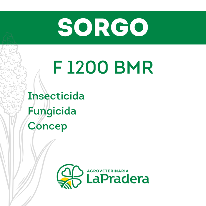 Sorgo F1200 BMR
