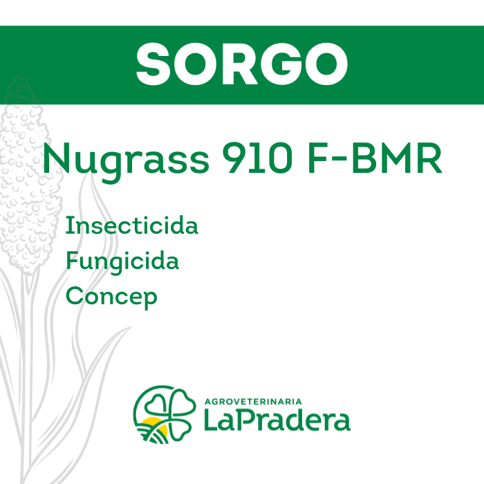 Sorgo Nugrass 910 F-BMR