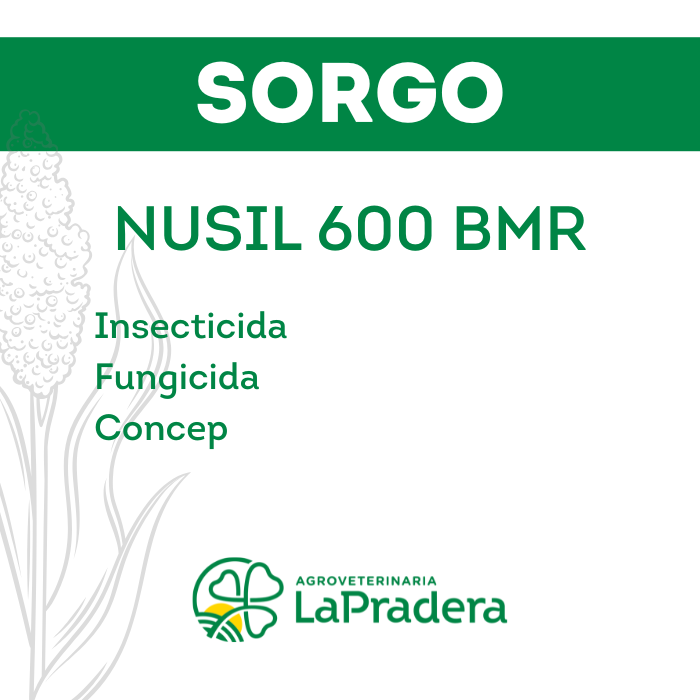 Sorgo Nusil 600 BMR
