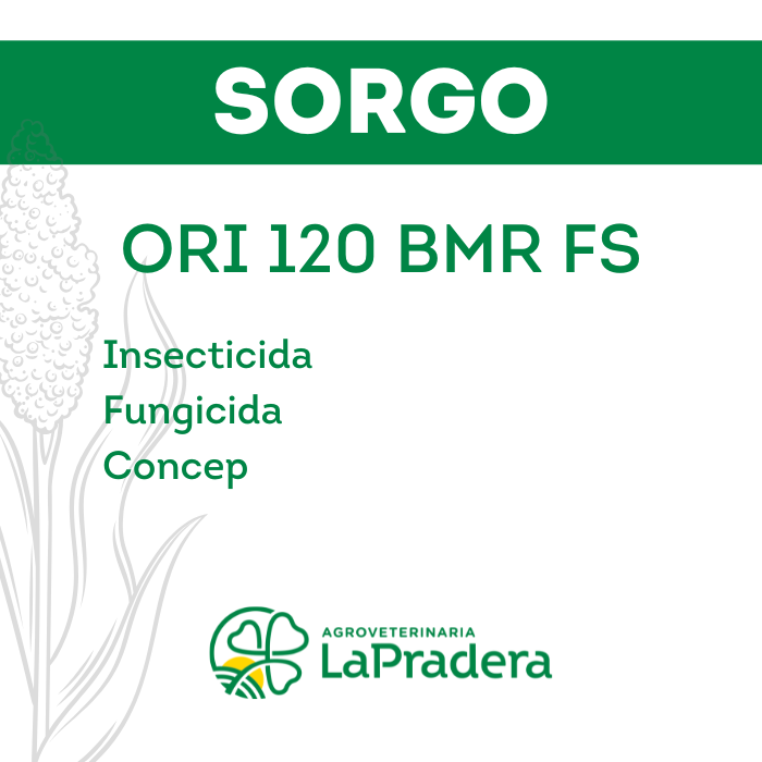 Sorgo ORI 120 BMR FS
