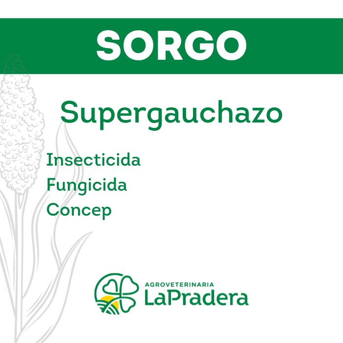Sorgo Supergauchazo