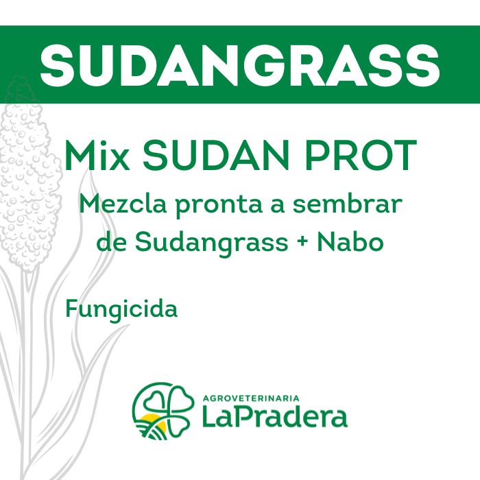 Sudangrass Mix SUDAN PROT